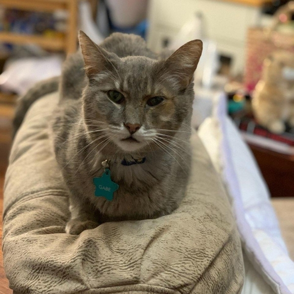 🌟Meet The Posher!🌟 - Picture 5 of 5